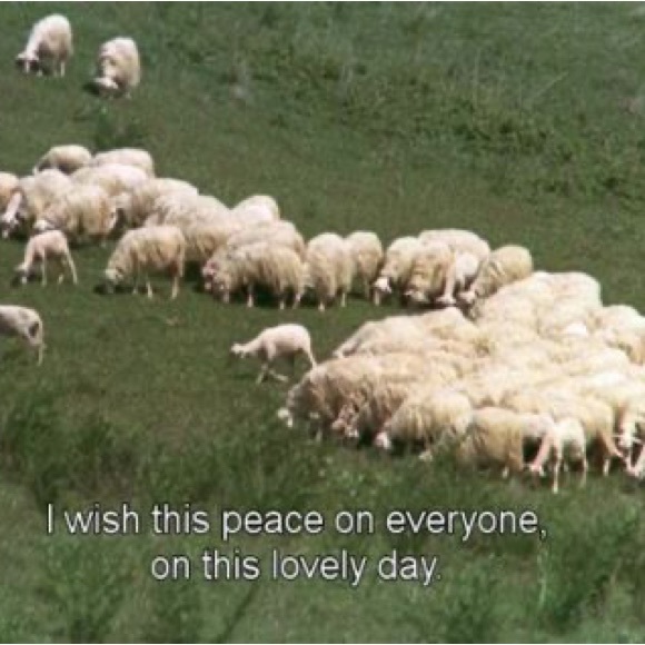 Meet your Posher, Maco - Picture 12 of 12